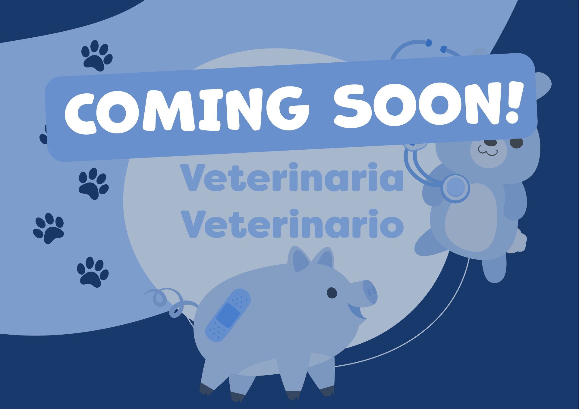 11_cover_veterinario_coming soon